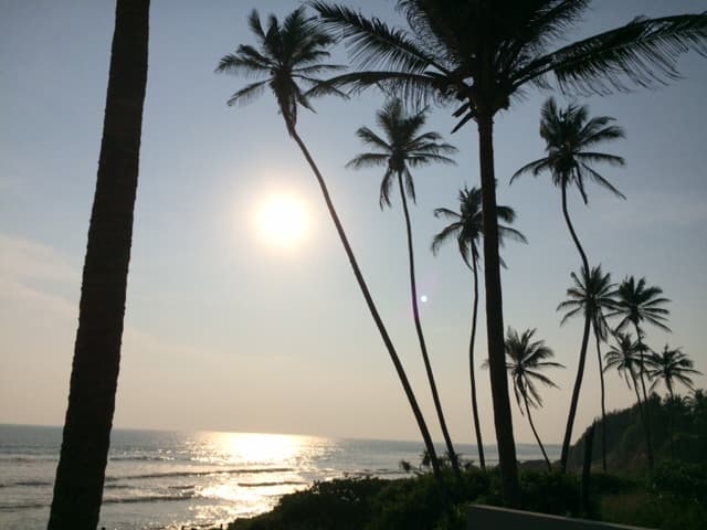 Palm trees at sunset, Weligama Bay