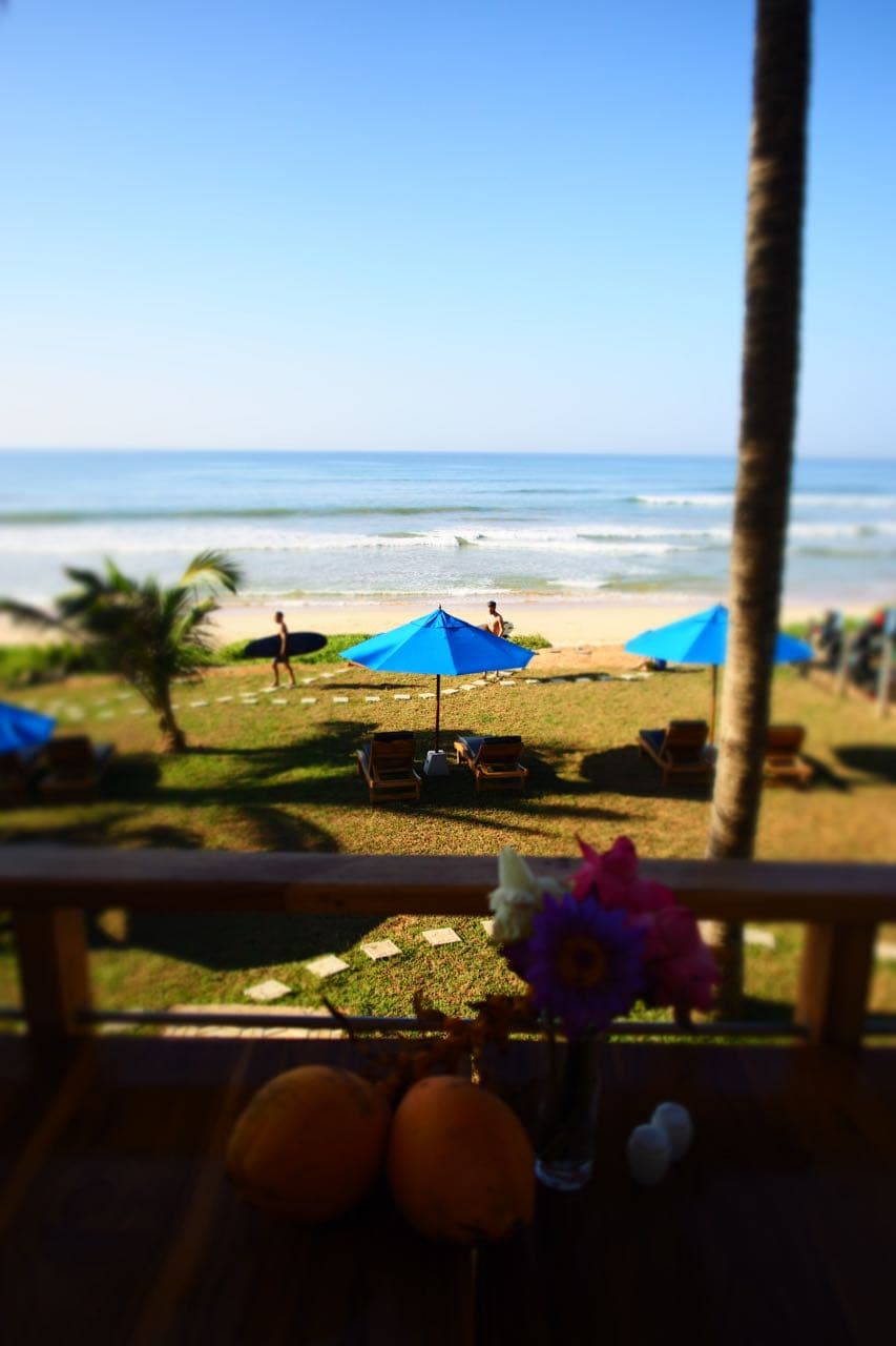 Beachside sunbeds