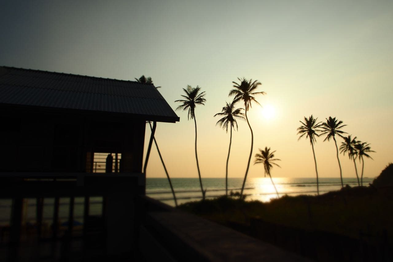 The Seascape at golden sunset with palm silhouettes